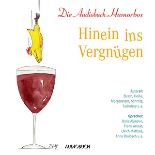Hinein ins Vergnügen als Hörbuch