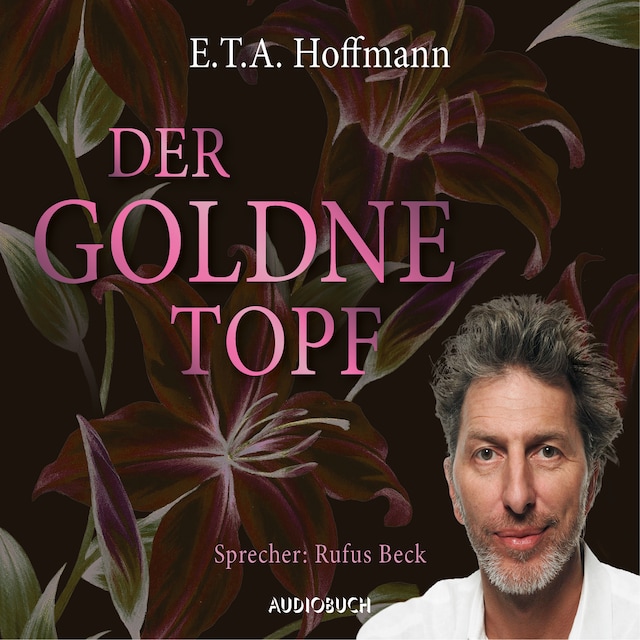 Book cover for Der goldne Topf