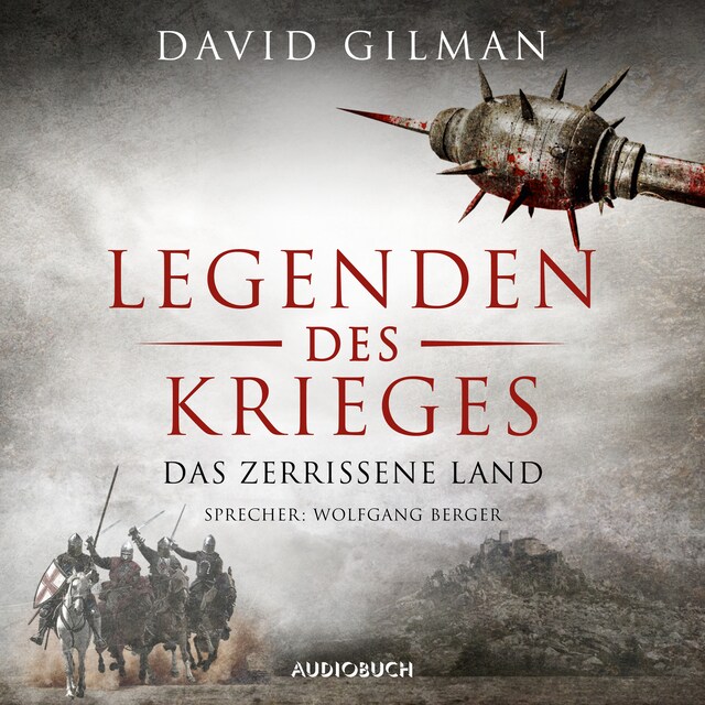 Book cover for Das zerrissene Land