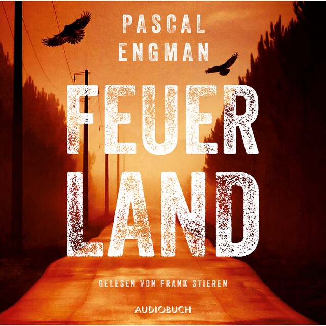 Book cover for Feuerland (ungekürzt)