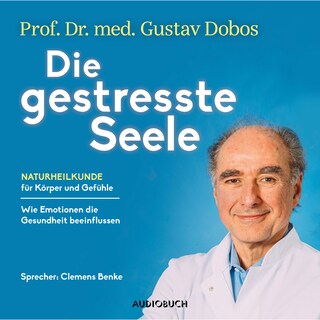 Die gestresste Seele als Hörbuch