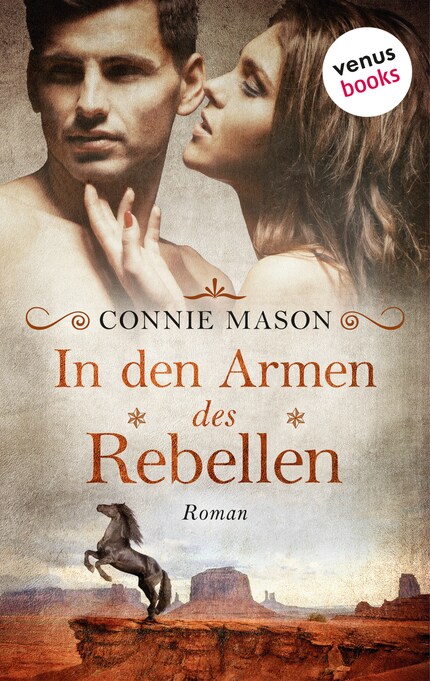 In den Armen des Rebellen bookCoverFor