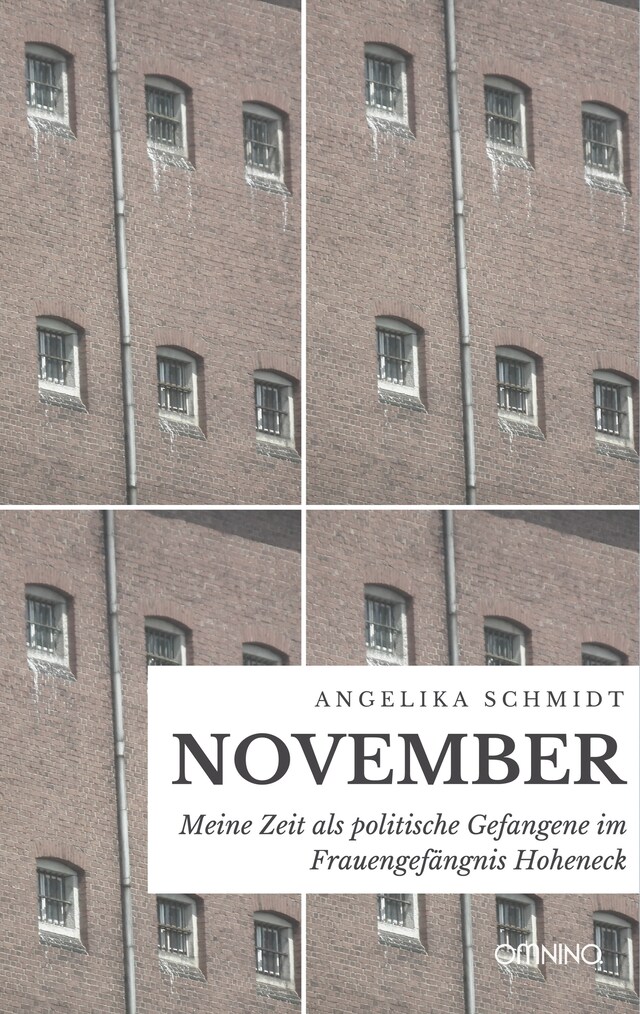 Copertina del libro per November