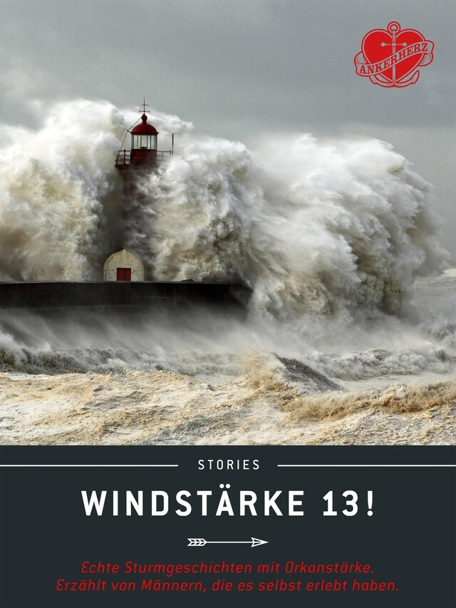 Boekomslag van Windstärke 13!