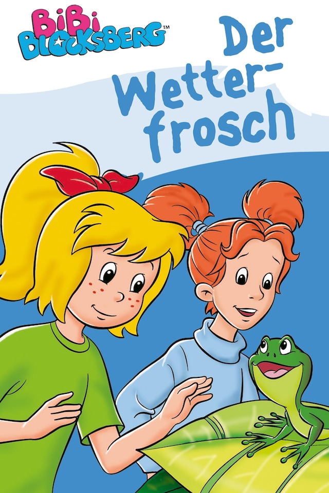 Book cover for Bibi Blocksberg - Der Wetterfrosch