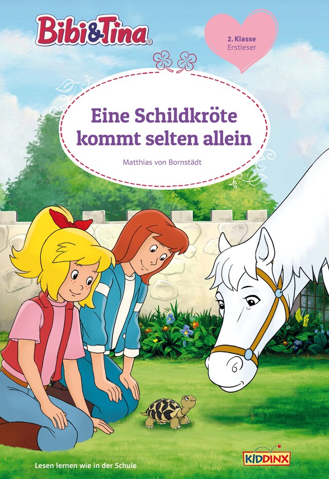 Book cover for Bibi & Tina: Eine Schildkröte kommt selten allein