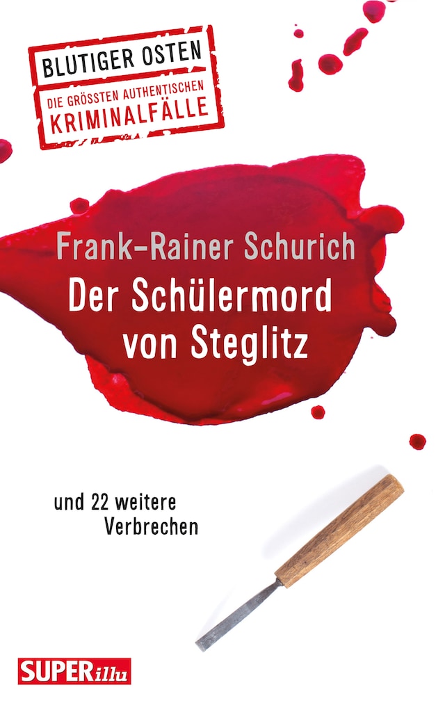 Buchcover für Der Schülermord von Steglitz