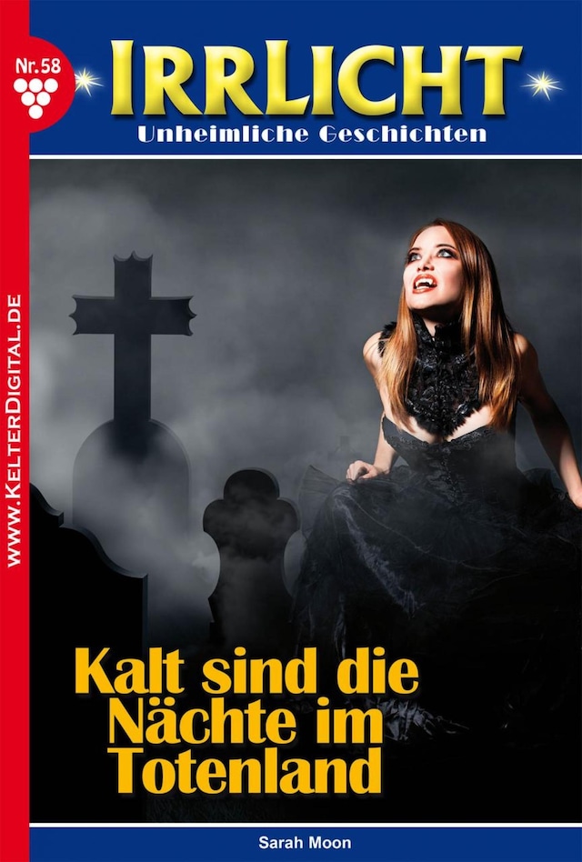 Book cover for Irrlicht 58 – Mystikroman