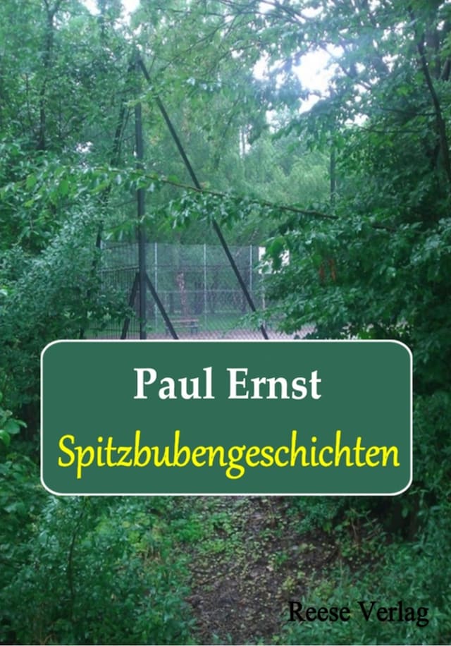 Buchcover für Spitzbubengeschichten