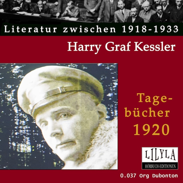 Book cover for Tagebücher 1920