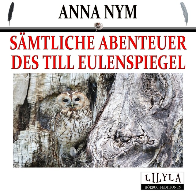 Copertina del libro per Sämtliche Abenteuer des Till Eulenspiegel