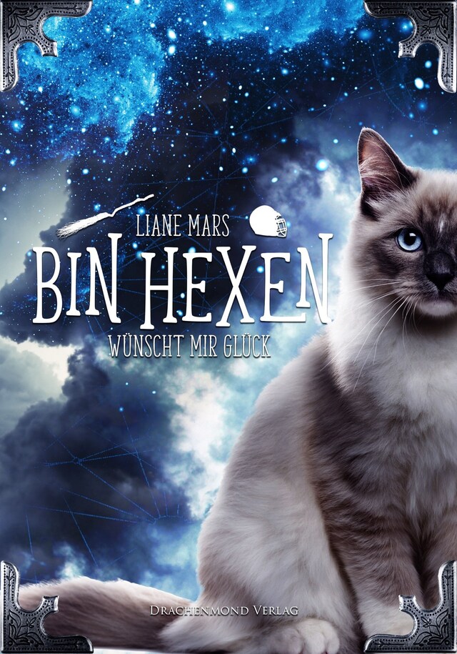 Book cover for Bin hexen