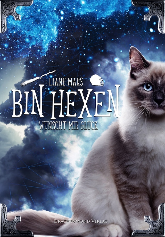 Book cover for Bin hexen