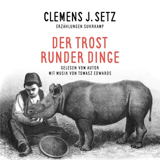 Der Trost runder Dinge als Hörbuch