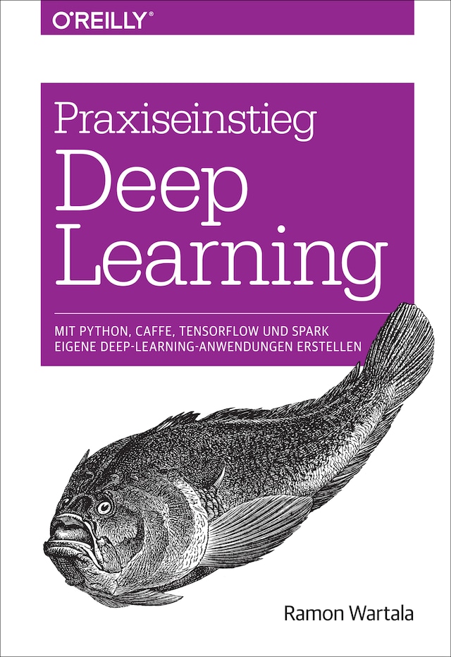 Boekomslag van Praxiseinstieg Deep Learning