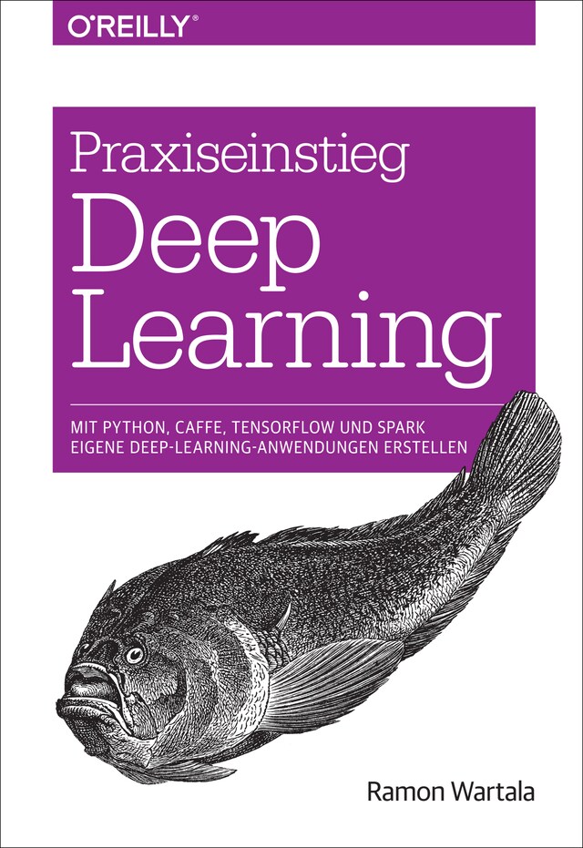 Buchcover für Praxiseinstieg Deep Learning