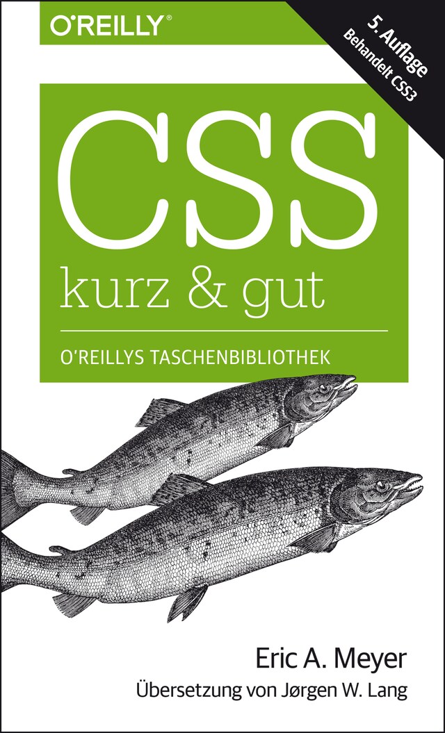 Copertina del libro per CSS – kurz & gut