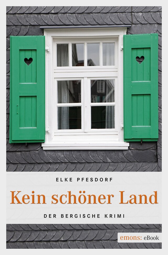 Book cover for Kein schöner Land