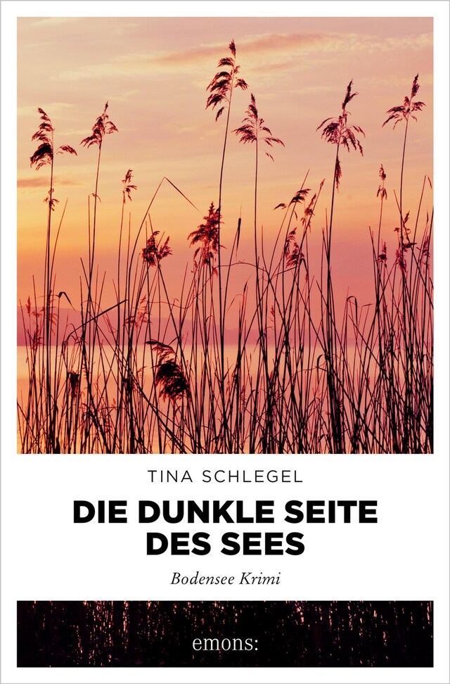 Book cover for Die dunkle Seite des Sees