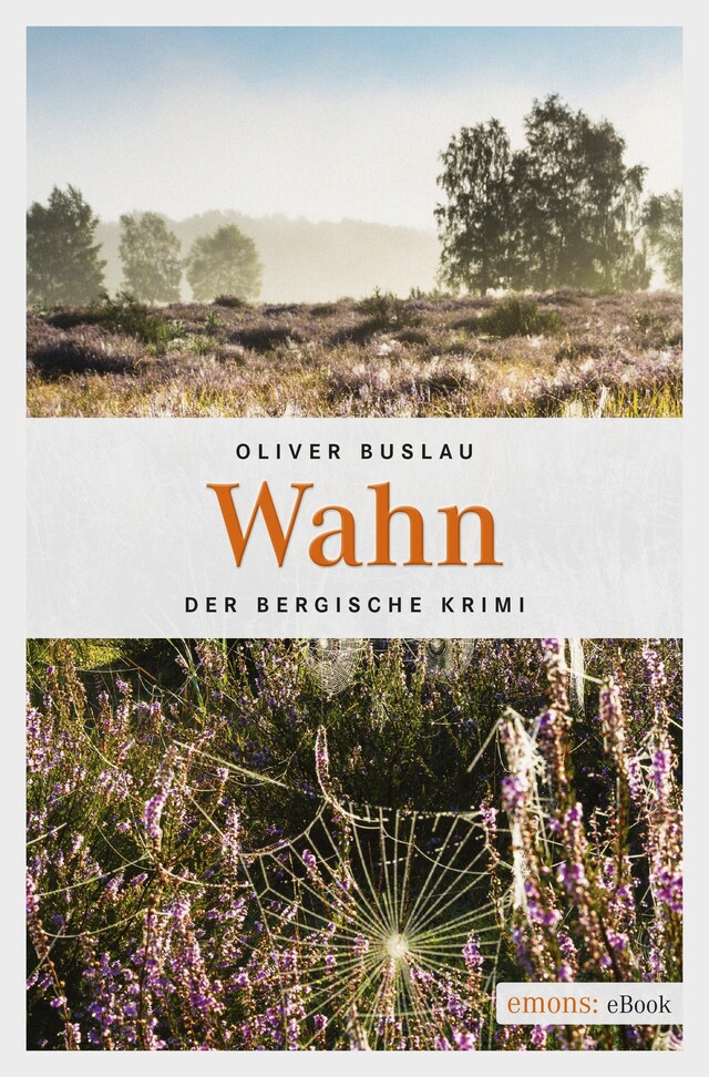 Buchcover für Wahn