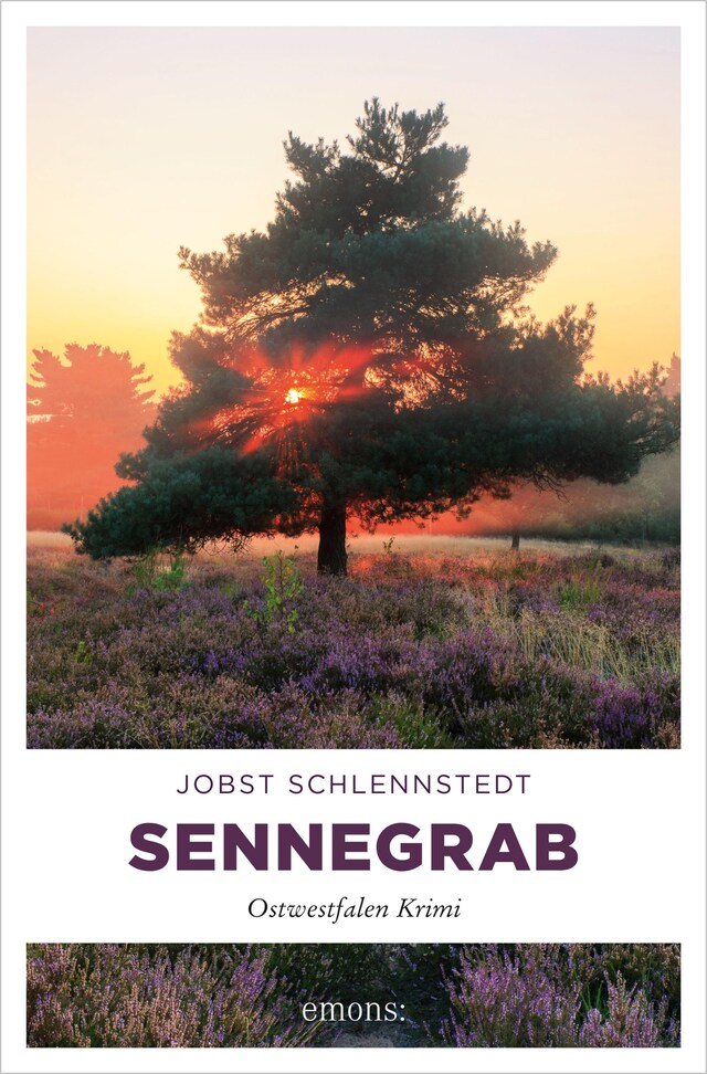 Book cover for Sennegrab