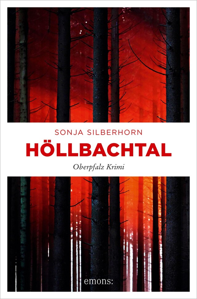 Buchcover für Höllbachtal