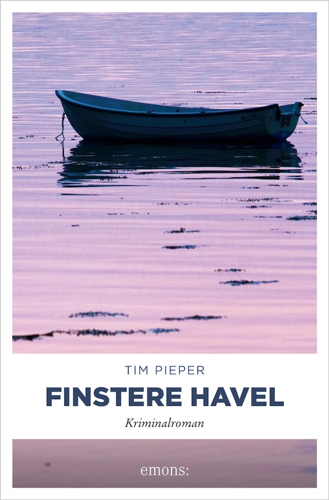 Book cover for Finstere Havel