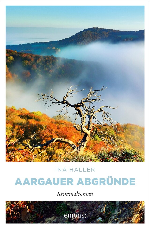 Book cover for Aargauer Abgründe