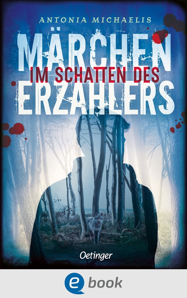 Portada de libro para Im Schatten des Märchenerzählers