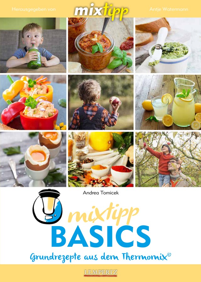 Couverture de livre pour MIXtipp Basics