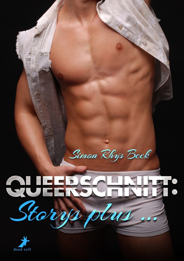 Book cover for Queerschnitt: Storys plus  ...