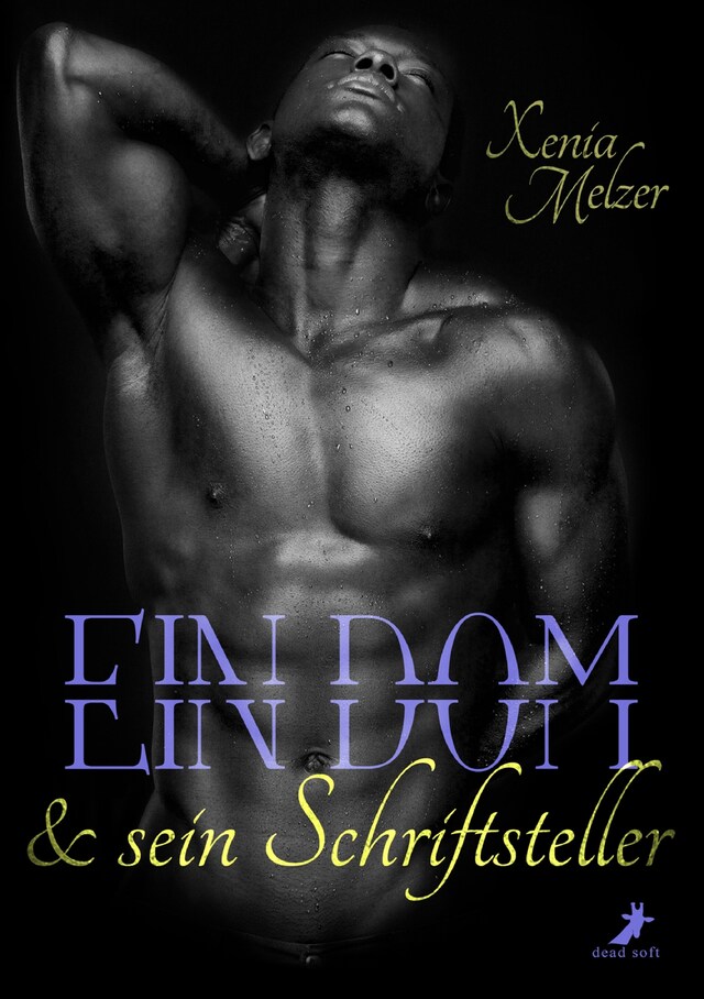 Book cover for Ein Dom und sein Schriftsteller