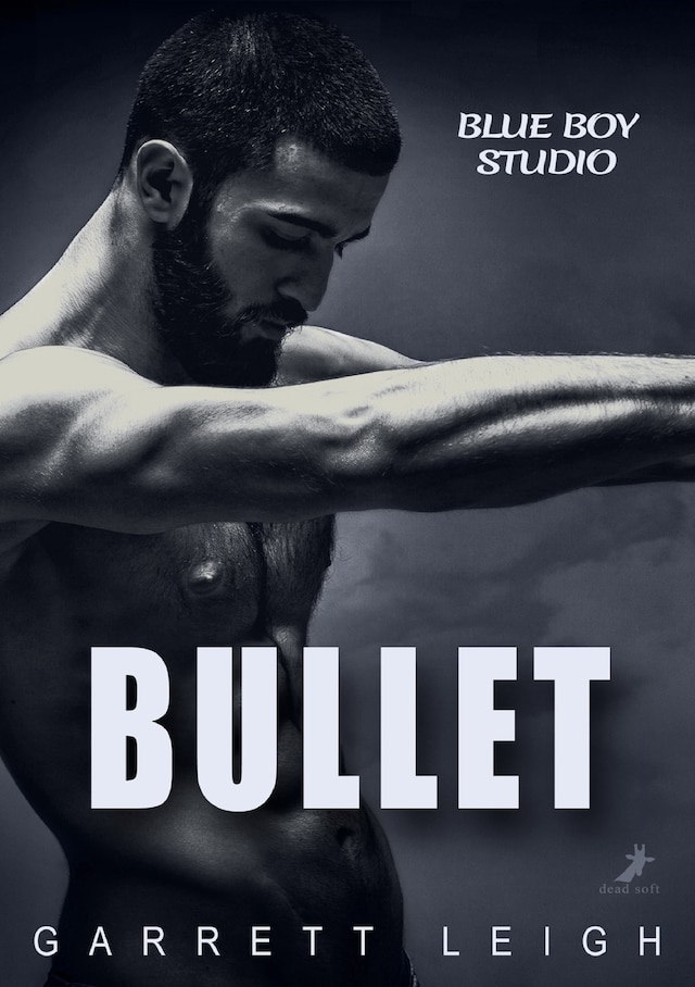 Book cover for Blue Boy: Bullet