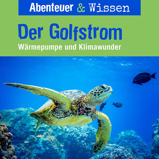 Copertina del libro per Golfstrom