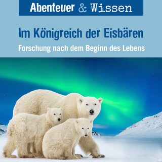 Im Königreich der Eisbären als Hörbuch