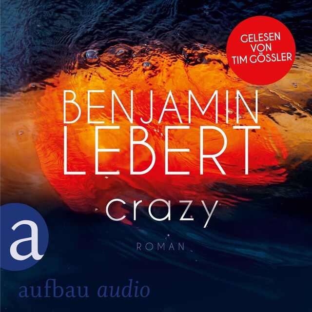 Book cover for Crazy (Ungekürzt)