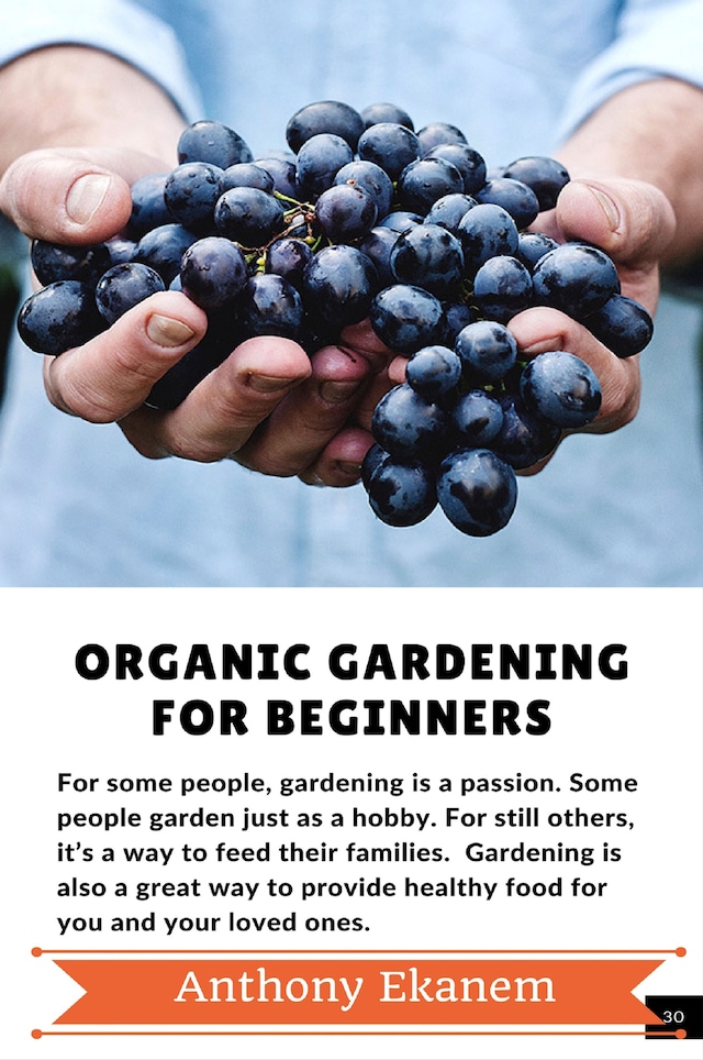 Buchcover für Organic Gardening For Beginners