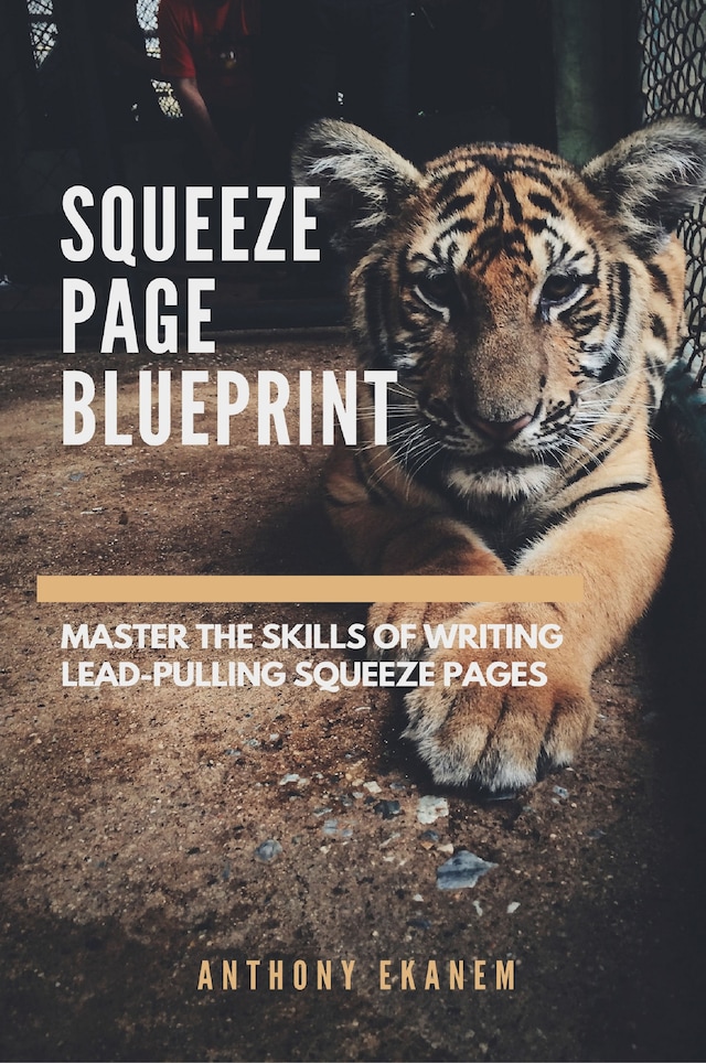 Bokomslag for Squeeze Page Blueprint