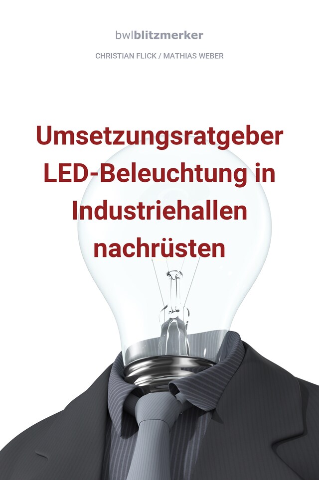 Buchcover für bwlBlitzmerker: Umsetzungsratgeber LED-Beleuchtung in Industriehallen nachrüsten