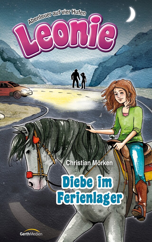 Book cover for Diebe im Ferienlager
