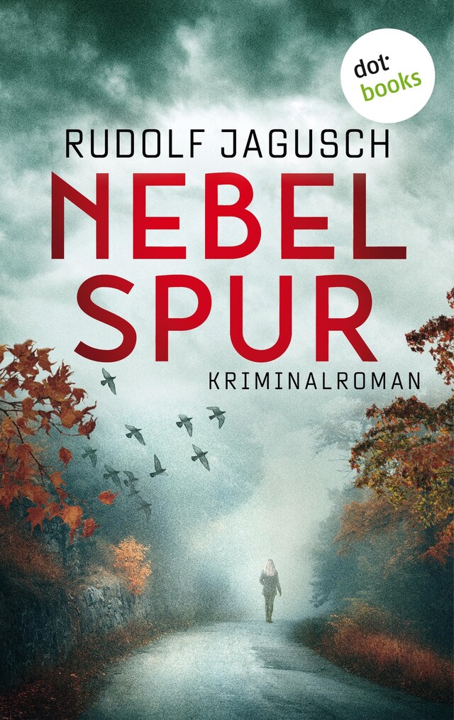 Buchcover für Nebelspur