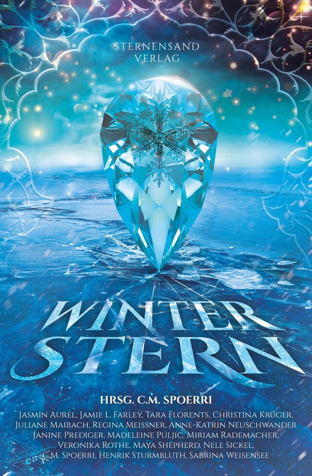 Book cover for Winterstern