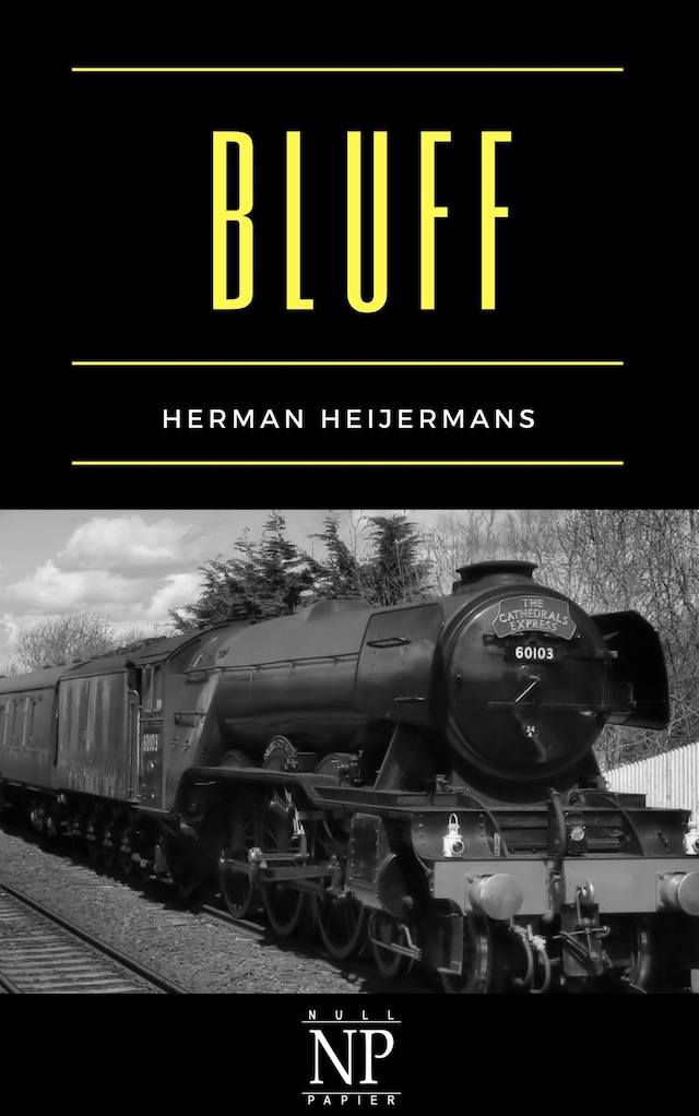 Book cover for Bluff