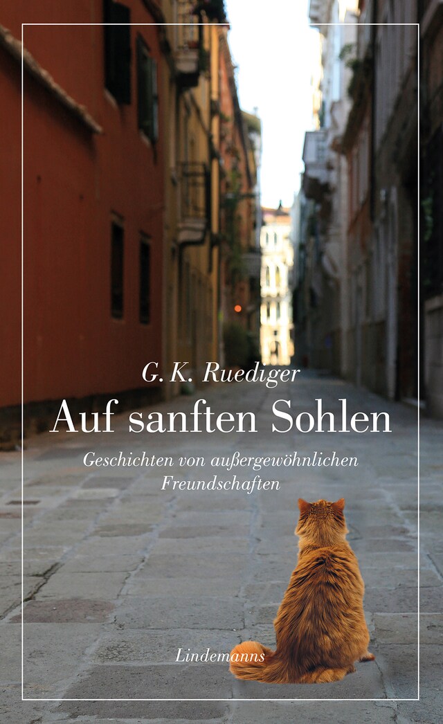 Book cover for Auf sanften Sohlen