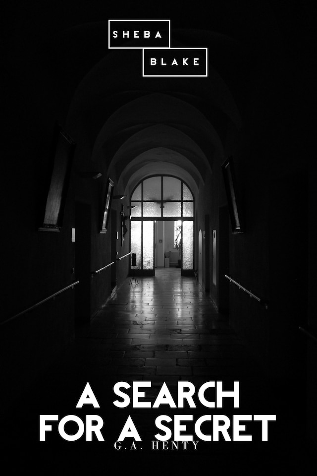 Buchcover für A Search for a Secret