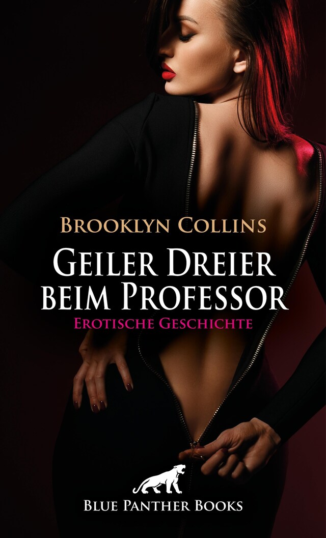 Book cover for Geiler Dreier beim Professor | Erotische Geschichte