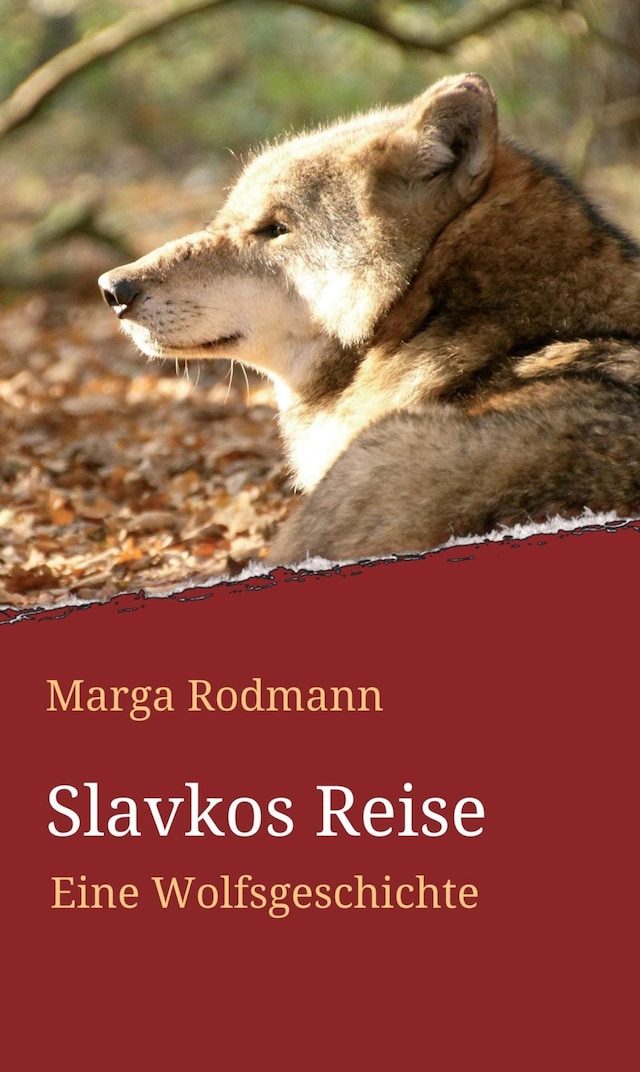 Slavkos Reise