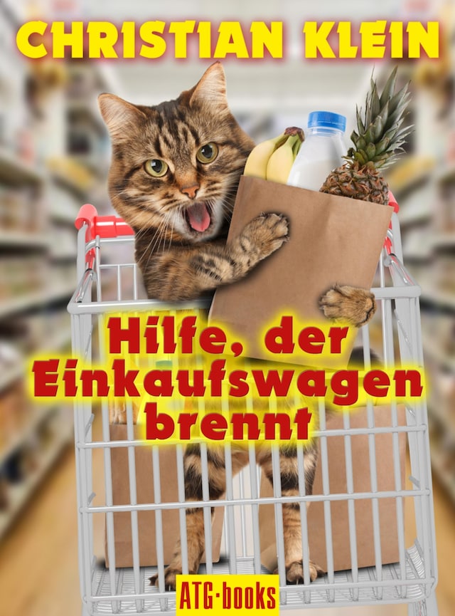 Kirjankansi teokselle Hilfe, der Einkaufswagen brennt!