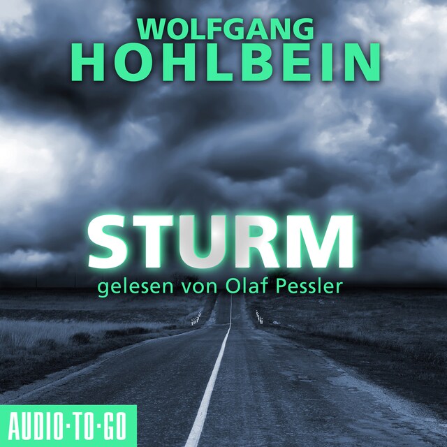 Book cover for Sturm (Gekürzt)
