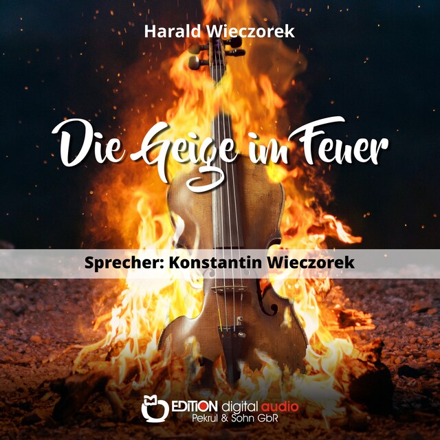 Bogomslag for Die Geige im Feuer